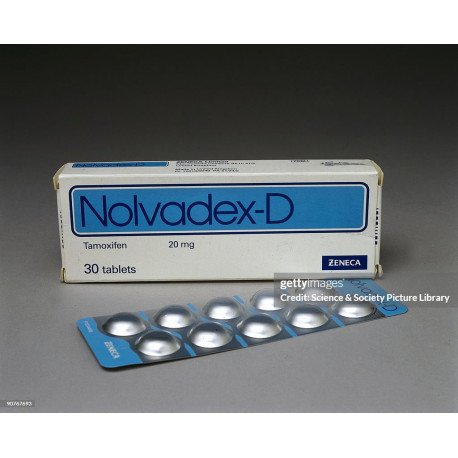 pharma nolvadex 282 355.jpg