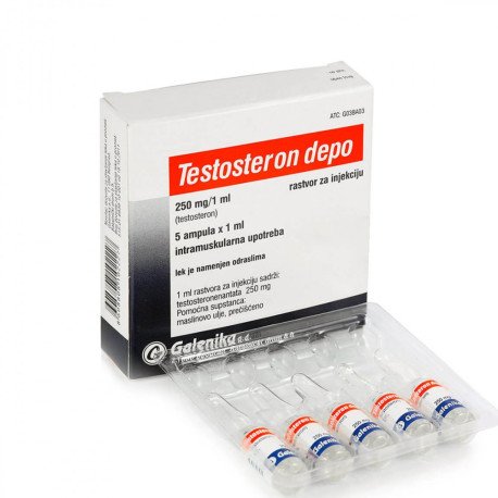 testosteron depo 59 367.jpg